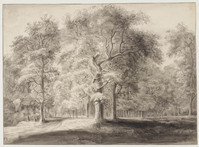 TvB T 014
<br/>
Boslandschap
<br/>
<em>Anoniem (18de eeuw)</em>